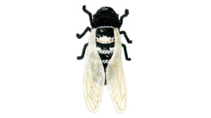 Cicada - Black Gold - Magnetic Brooch