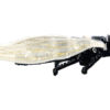 Cicada - Black Gold - Magnetic Brooch