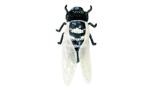 Cicada – Dark Grey Silver – Magnetic Brooch