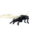 Flying Cicada – Black Gold – Magnetic Brooch