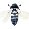 Flying Cicada – Dark Grey Silver – Magnetic Brooch