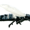 飛ぶ蝉 – ダークグレー シルバー – マグネットブローチ