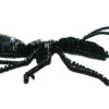 蟻 - ブラック - マグネットブローチ