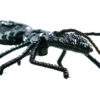 蟻 - ダークグレー - マグネットブローチ