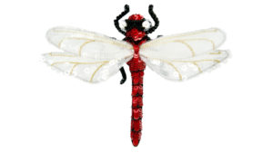 Dragonfly - Black Red - Magnetic Brooch