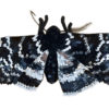 Papillon de nuit – Noir – Broche magnétique