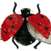 Ladybug – Red 6dots – Magnetic Brooch