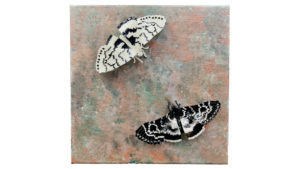 Moths in love - Artwork